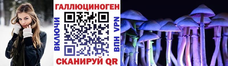 Псилоцибиновые грибы Psilocybine cubensis  Белорецк 